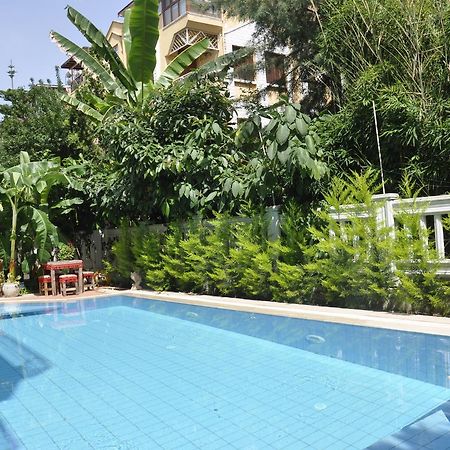 Hotel Villa Casablanca Bahtili Eksteriør billede