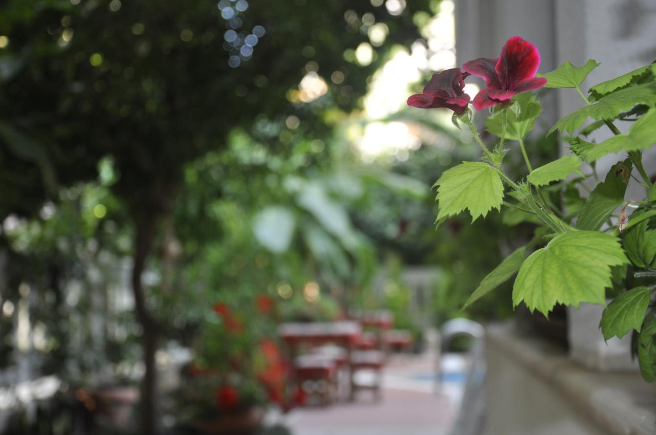 Hotel Villa Casablanca Bahtili Eksteriør billede