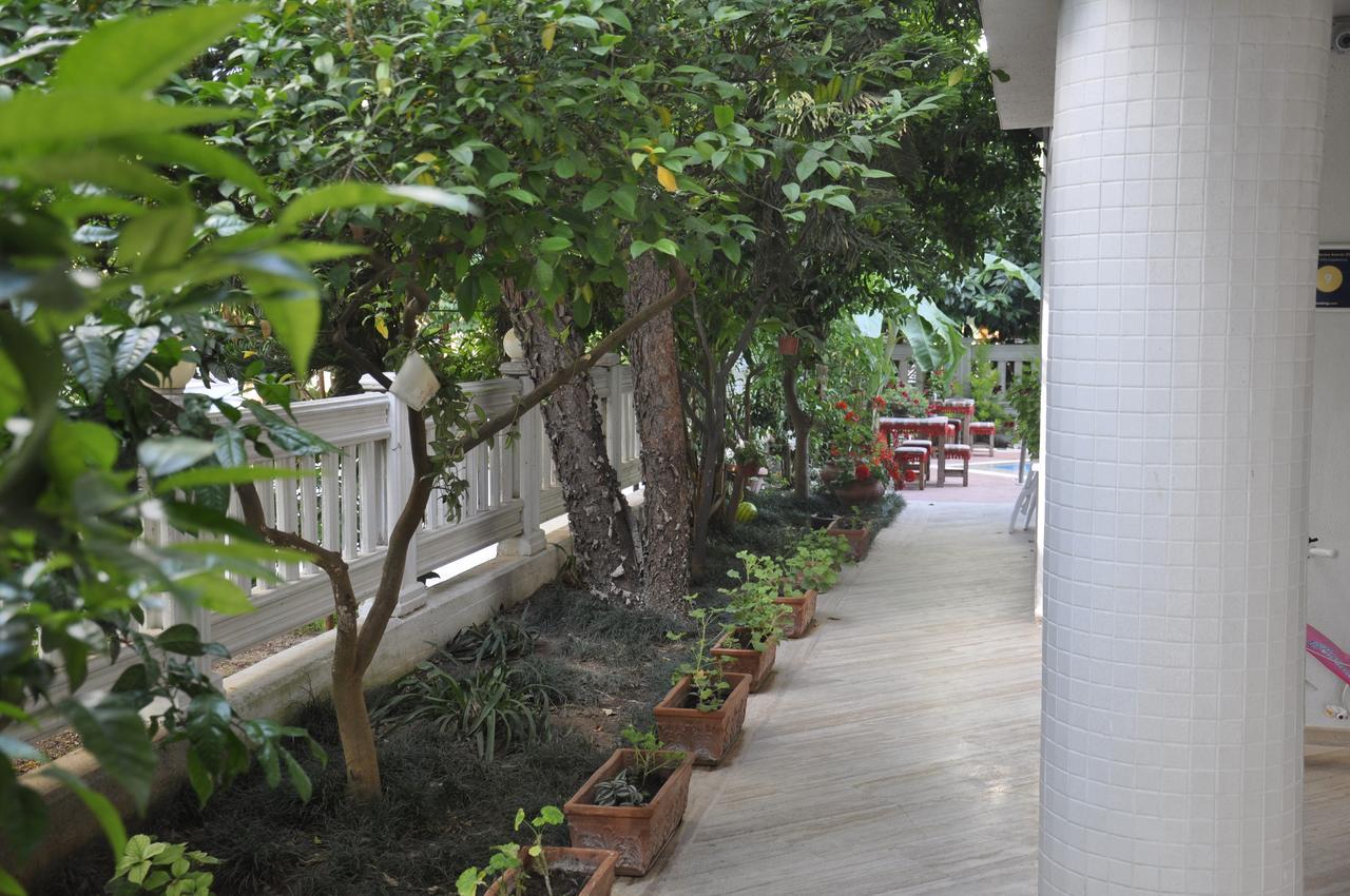 Hotel Villa Casablanca Bahtili Eksteriør billede